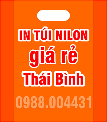 In túi nilon giá rẻ tại Thái Bình